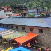पुरिएको अवस्थामा फेला पर्‍यो पाटे बाघ