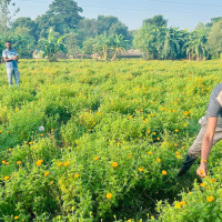 पर्सा २ मा कांग्रेसका अजय चौरसिया विजयी