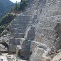 तिहारका लागि ढकमक्क सयपत्री