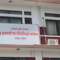 नेपालको राजनीतिमा भण्डारीको अविस्मरणीय योगदान