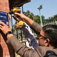 तिहारका लागि ढकमक्क सयपत्री