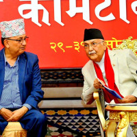 देशलाई बलियो राष्ट्रिय शक्तिको आवश्यकता छ : महासचिव पोखरेल