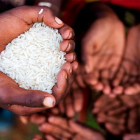नेपाल बुद्धको जन्मथलो मात्रै होइन, बुद्ध दर्शनको संवाहक : प्रधानमन्त्री ओली