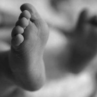 प्रदेश सरकार विश्व स्वास्थ्य संगठनसँग सहकार्य गर्न तयार छः मुख्यमन्त्री आचार्य