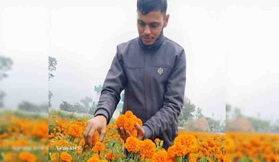 व्यावसायिक पुष्पखेतीमा आत्मनिर्भर बन्दै न्यौपाने