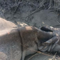 एसइईमा ताप्लेजुङ प्रथम हुने लार्के शेर्पा सहित ४९ जना शेर्पा विद्यार्थी सम्मानित