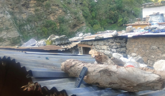 आफन्तसँग सम्पर्क गर्न छानामाथि मोवाइल