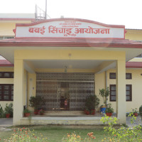 खडेरीले बारीमै सुके मकै, धानको ब्याडमा धाँजा फाट्यो
