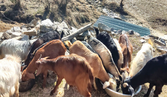 विपन्न २०० परिवारलाई न्यानो कपडा