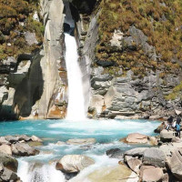 कृषि सहकारीद्वारा ६७ लाखको सागसब्जी बिक्री