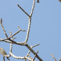 मधेश प्रदेशको आर्थिक विधेयक सर्वसम्मत पारित