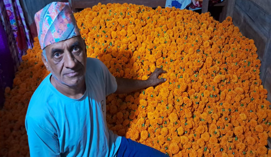 अवकाशपछि व्यावसायिक फूलखेतीमा भण्डारी