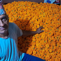 तनहुँ–१ मा रास्वपाका वाग्ले दोब्बर बढी मतान्तरले अगाडि