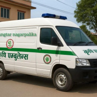 कोर्न छाडिए थारू लोककला मौख