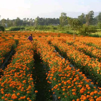 रसिकको नागरिक अभिनन्दन