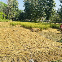 बसमा यात्रा गर्दागर्दै मृत्यु