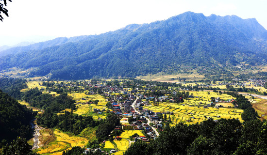 भोर्लेटार बजार