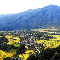 छुट्टाछुट्टै दुर्घटनामा दुई जनाको मृत्यु, तीन घाइते