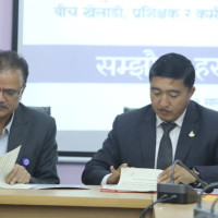 नेपाल आज ओन्टारियोविरुद्ध टी–२० खेल्दै