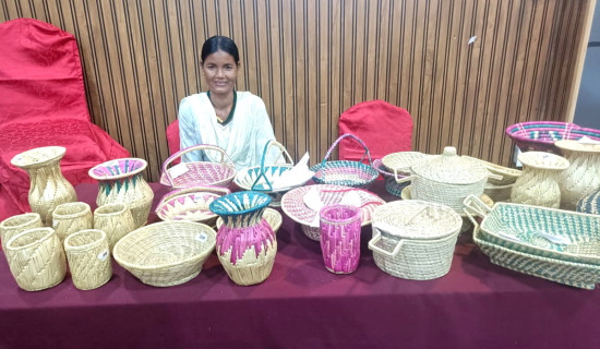 पाकिस्तानमा सडक दुर्घटना, १५ को मृत्यु, ८ जना घाइते