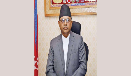 बालीको रोग पत्ता लगाउने एप्स