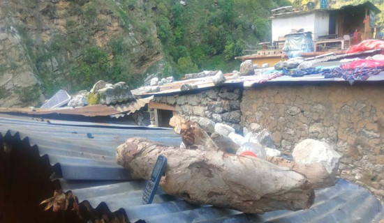 कुराकानी गर्न छानामाथि मोबाइल