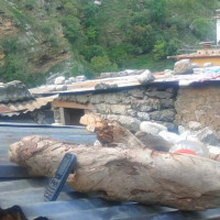 एमाले मधेश प्रदेश अधिवेशनको लोगो सार्वजनिक
