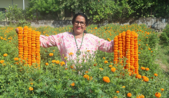 टरिगाउँमा आजदेखि सीता एयरले उडान भर्दै