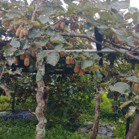 मन्त्रालयको नाम परिवर्तन गर्ने निर्णय