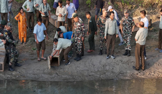 राष्ट्रिय परिचयपत्र : बैतडीमा २४ हजारको विवरण सङ्कलन