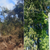 समावेशीकरणको दिशामा नयाँ फड्को : गोरखापत्रद्वारा प्रकाशित बझाङी भाषा