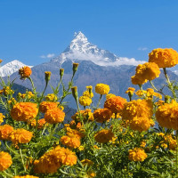ललितपुर महानगरको फोटो प्रदर्शनी