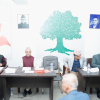 जनमत पार्टीको संसदीय दलको नेतामा अध्यक्ष डा. राउत
