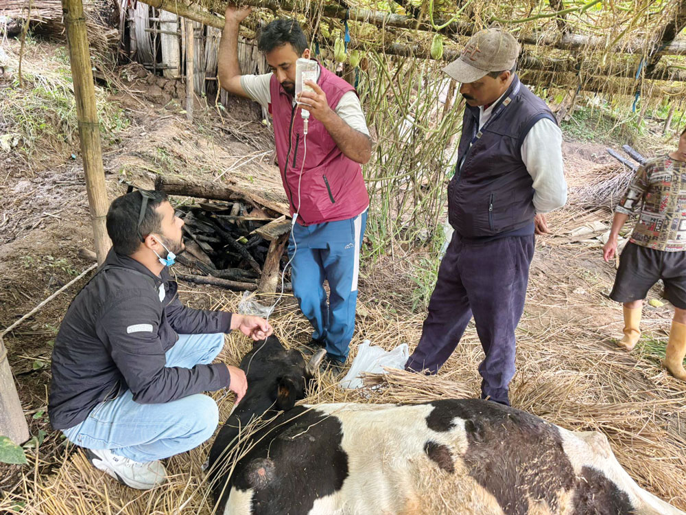मानवसँगै पशुको पनि उद्धार र उपचार