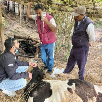 वैदेशिक रोजगारमा रहेका नेपालीका लागि बीपीडब्लु लघुवित्तको आइपिओ खुला