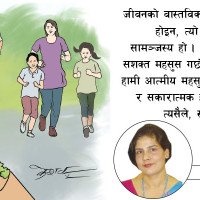 नामले झिकेको विवाद