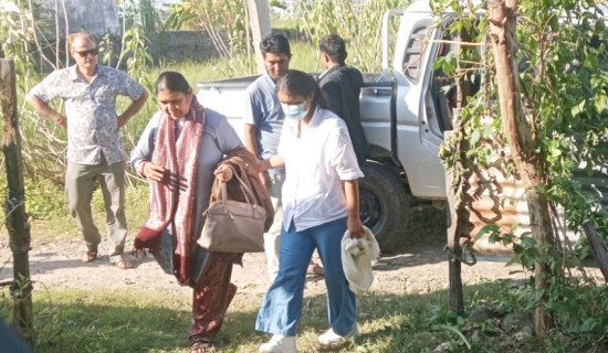 १० वटा घडियाल गोही खौराहा खोलामा छाडियो