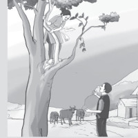 गणतन्त्रले अधिकारसँगै कर्तव्यको बोध गराएको छ : मुख्यमन्त्री आचार्य