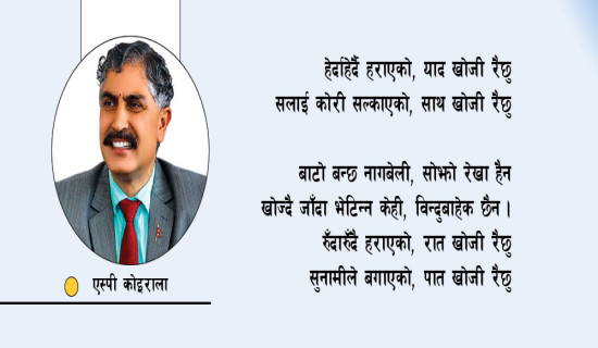 हेर्दाहेर्दै हराएको (कविता)