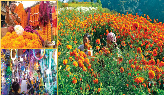 अधिकांश पुस्तकालय बन्द