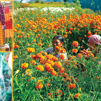 टाइब्रेकरमा ब्राजिललाई हराउँदै क्रोएसिया सेमिफाइनलमा