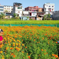 एक चीन नीतिप्रति  नेपाल प्रतिबद्ध