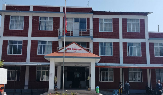 चितवनमा रविको मत बढ्यो, तनहुँमा स्वर्णिमको उदय