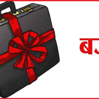 पन्ध्र नवप्रतिभा छनोट
