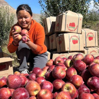 भदौदेखि कुवेत उडान गर्दै हिमालय
