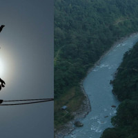 मध्यबिन्दुमा सवारी दुर्घटनाः एक जनाको मृत्यु , दुई घाइते