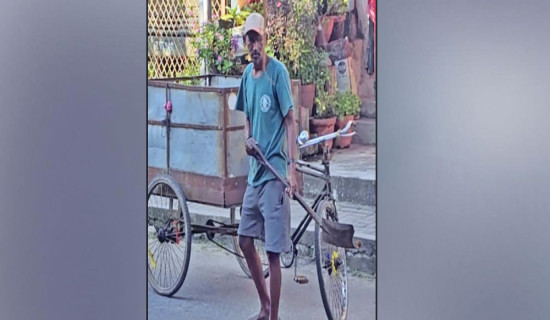 पाँच सय सहकारी सङ्कटमा