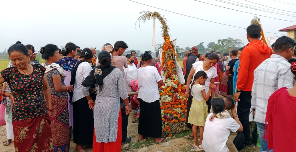 समावेशीकरणको दिशामा नयाँ फड्को : गोरखापत्रद्वारा प्रकाशित दराई भाषा