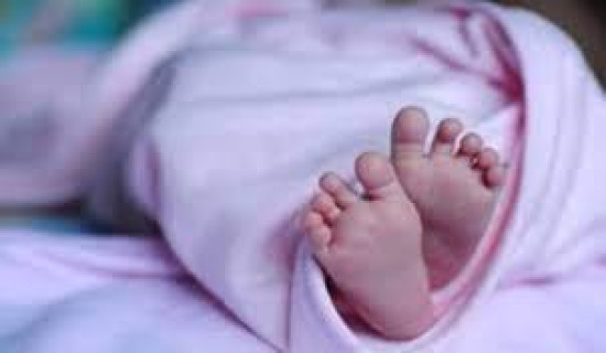 धरान महेन्द्र बहुमुखी क्याम्पसमा समाजवादीका राई विजयी