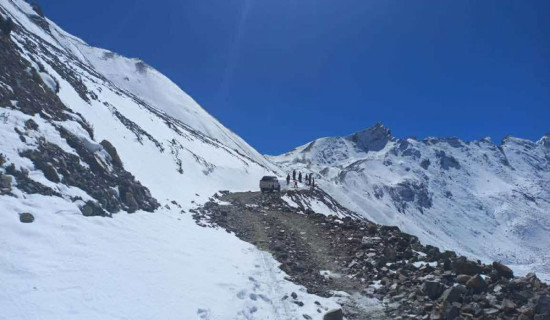 सडक खुलेपछि अलपत्र पर्यटकको उद्धार